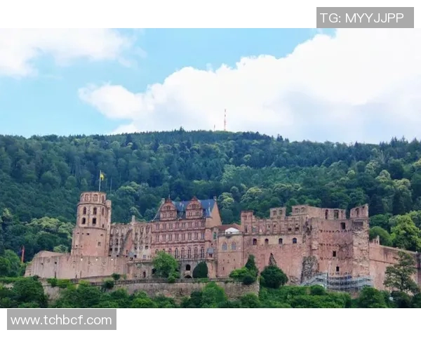 海德堡奇迹逆袭德甲杯,形势扑朔迷离令人猜测